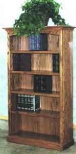 Regular Style Bookcases